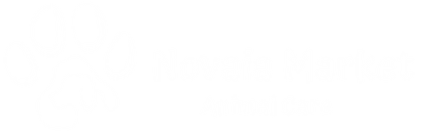 Modern Novaia Market